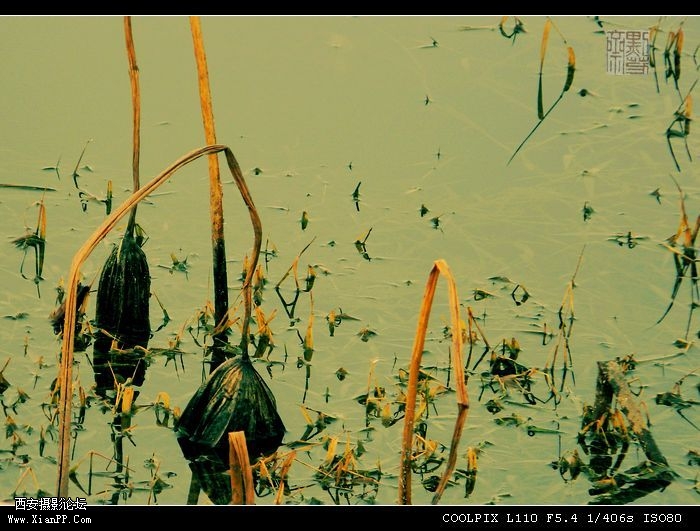 DSCN0901.jpg