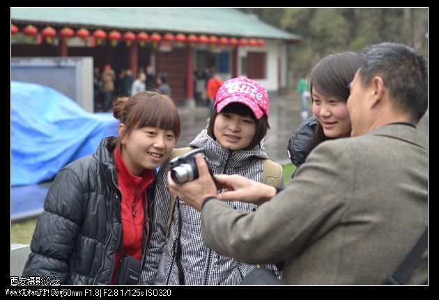 玉兰花的诱惑