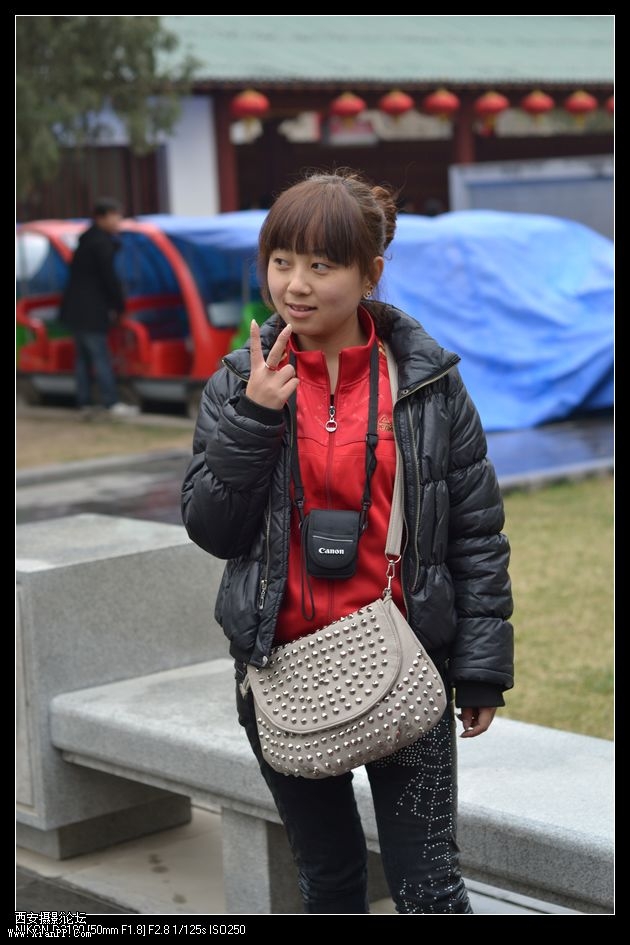 玉兰花的诱惑