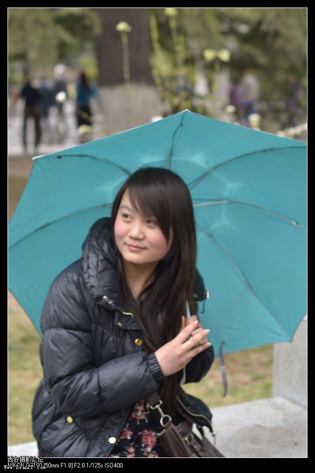 玉兰花的诱惑