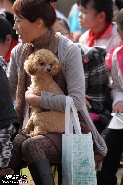 20110408运动会0166_调整大小.JPG