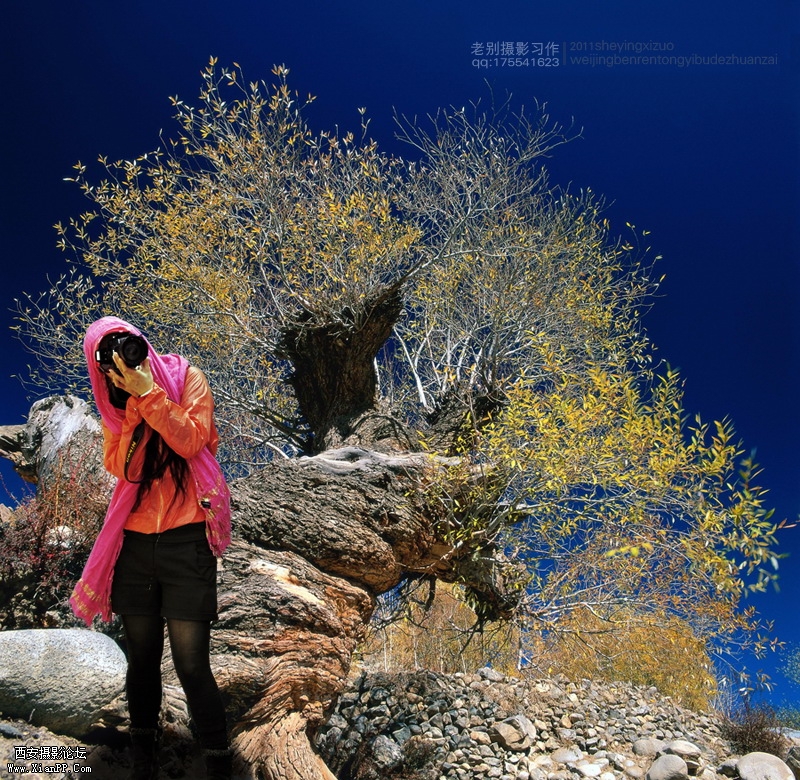 BMA-101副本.JPG