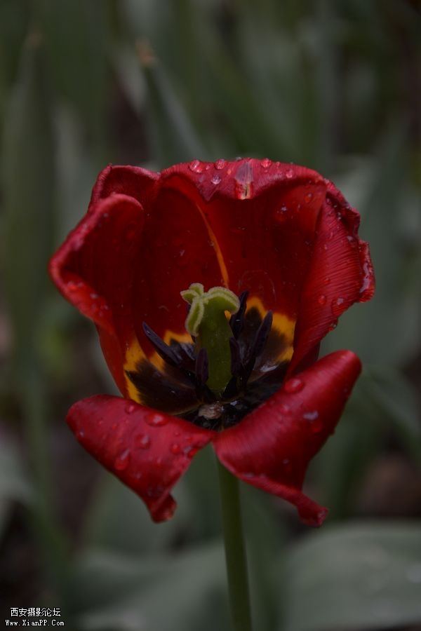 DSC_019960.jpg