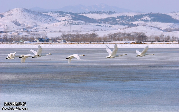 large_oF3u_17741j206114.jpg