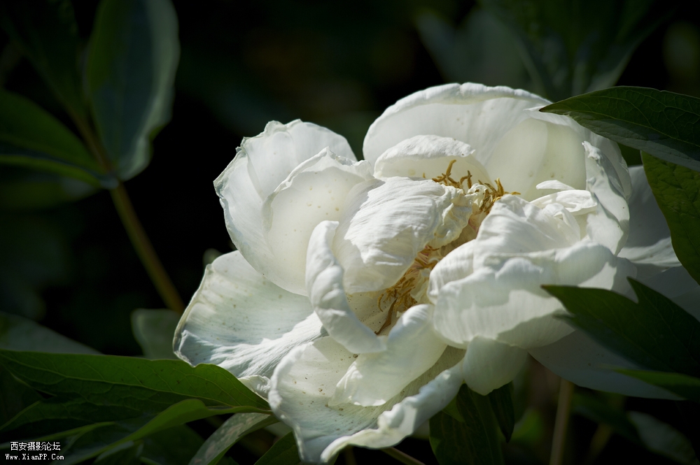 DSC_3322.jpg
