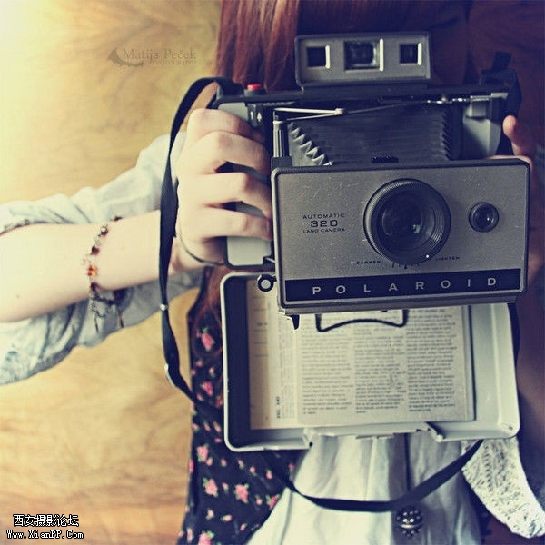 p_large_lbQC_16f30009f9b75c16.jpg