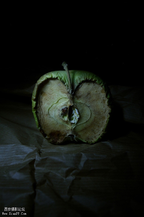 p_large_aX43_2dd500030f6c5c42.jpg