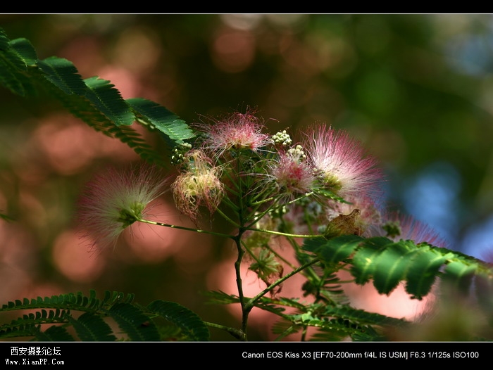 201106101987_调整大小.JPG