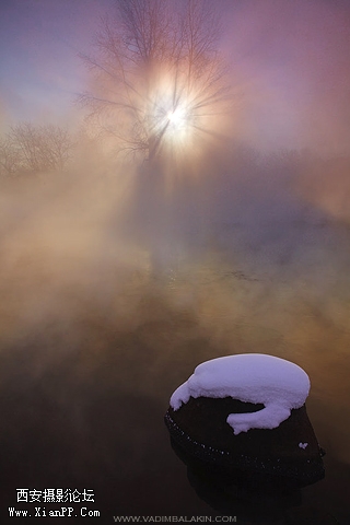 Fog_Sun.jpg