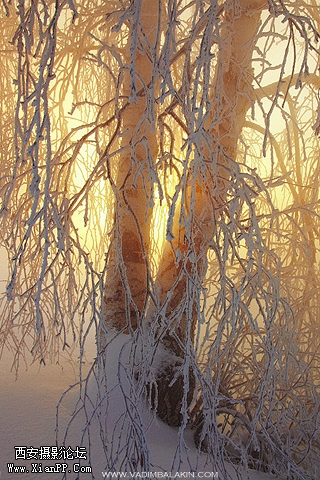 Winter.jpg