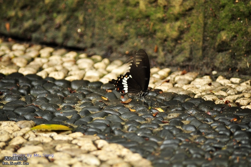 DSC_2306.JPG