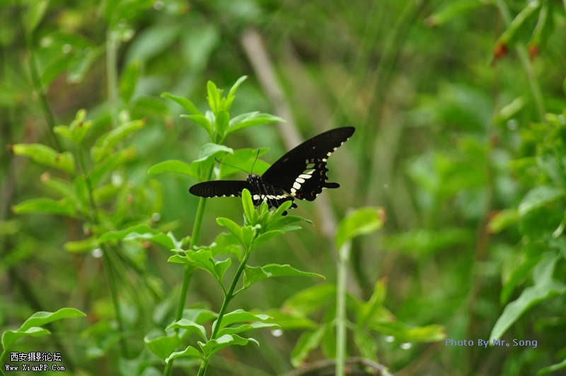 DSC_2322.JPG