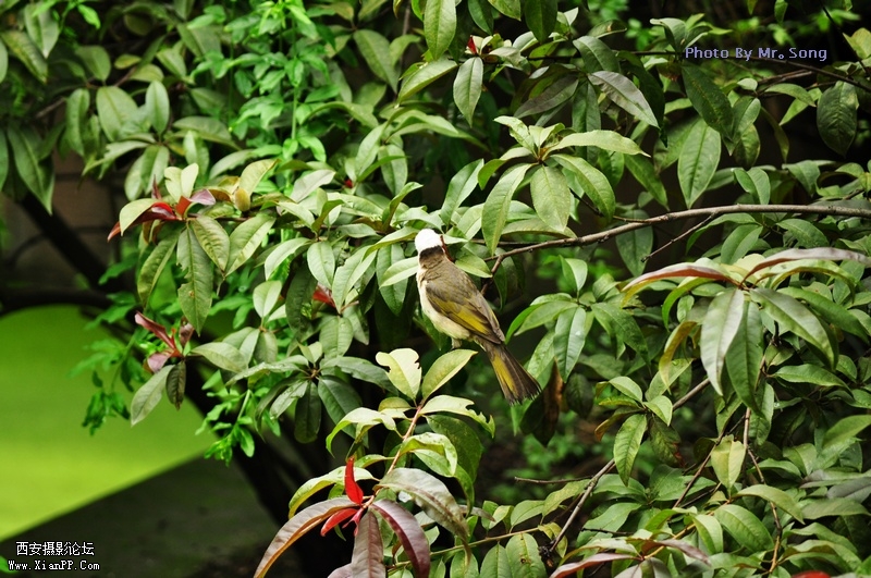DSC_2323.JPG