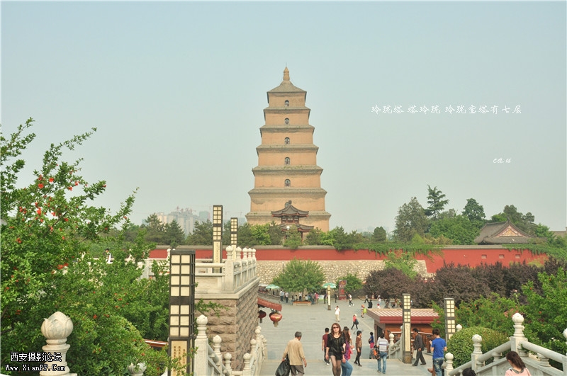 dsc_0510_副本.jpg
