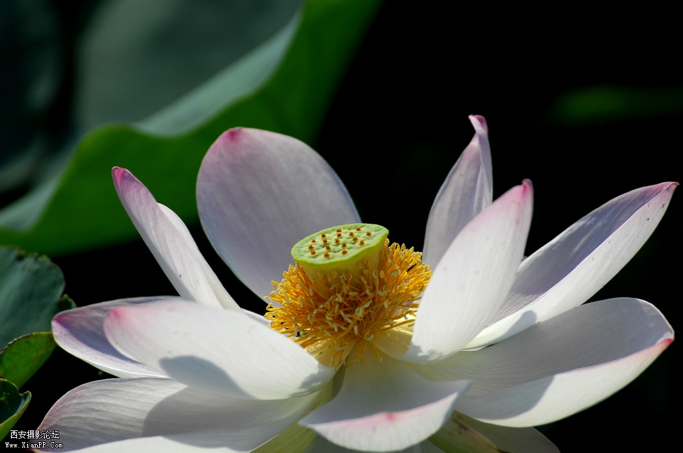 DSC_0030.JPG