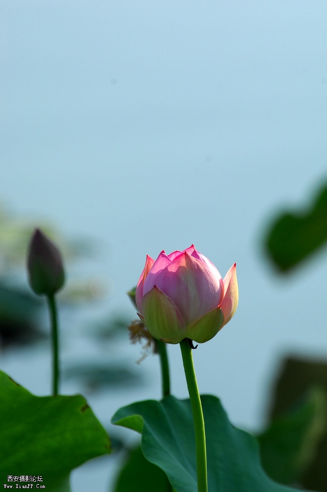 DSC_0003.JPG