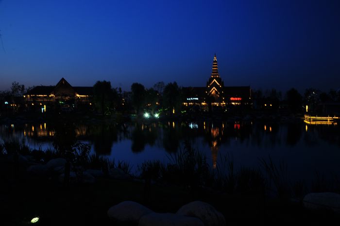 DSC_113640.jpg