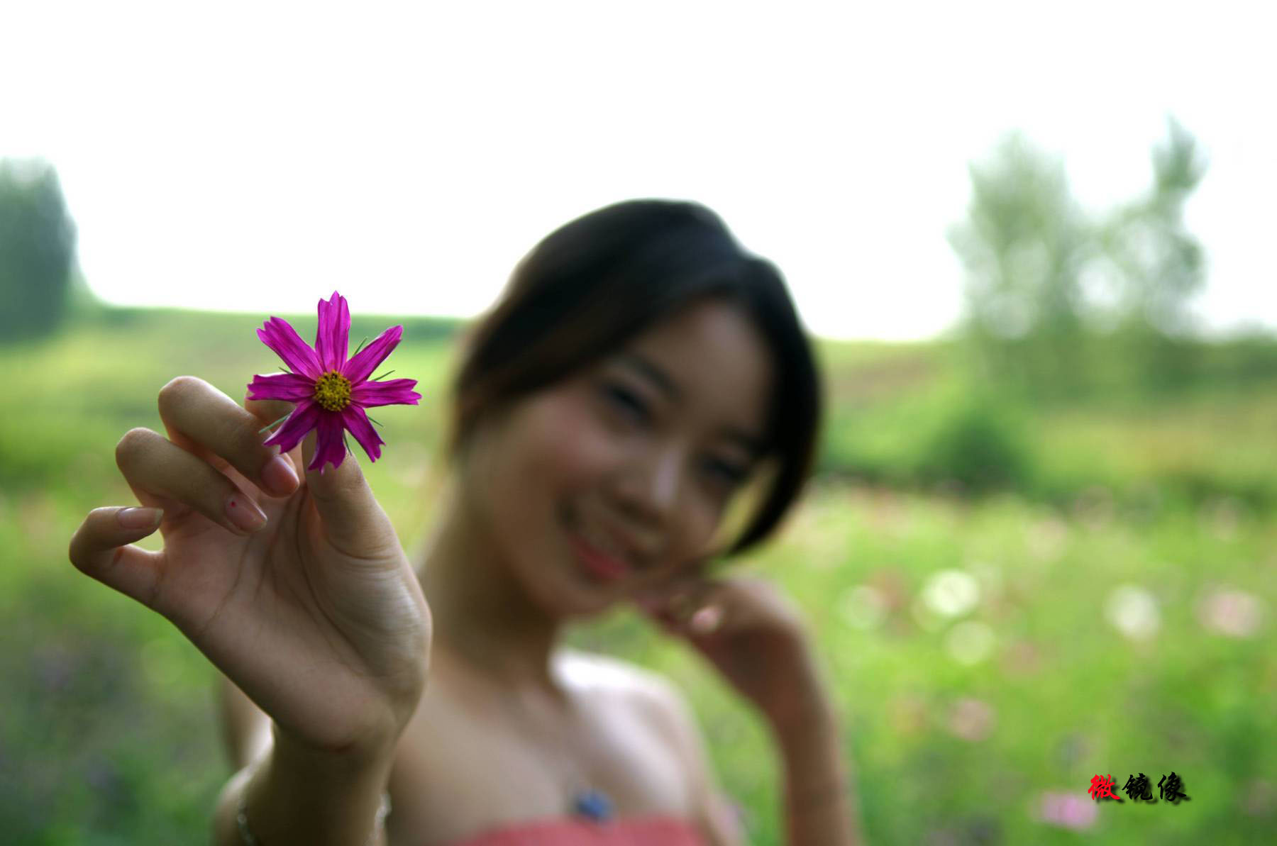 DSC_2557.jpg