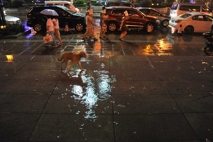 DSC_1802.JPG