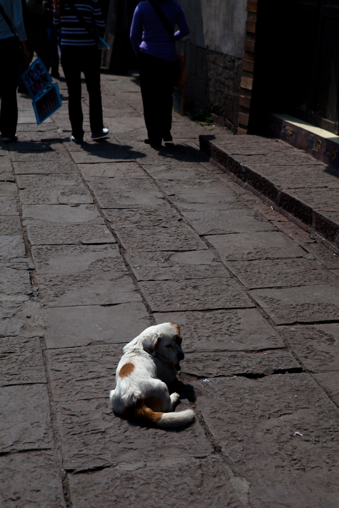 IMG_6673.JPG