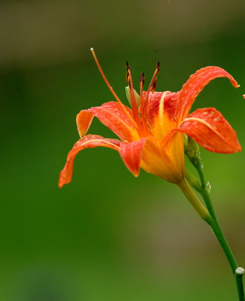 DSC_0150.JPG