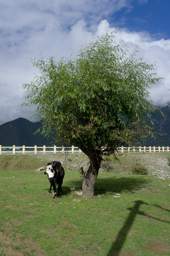 DSC05356-2.jpg