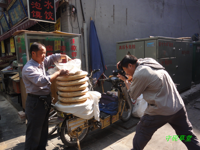 DSC01567.jpg