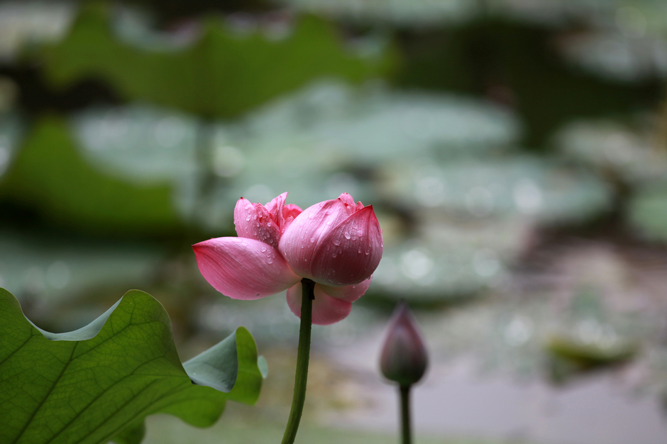 nEO_IMG_IMG_0886.jpg