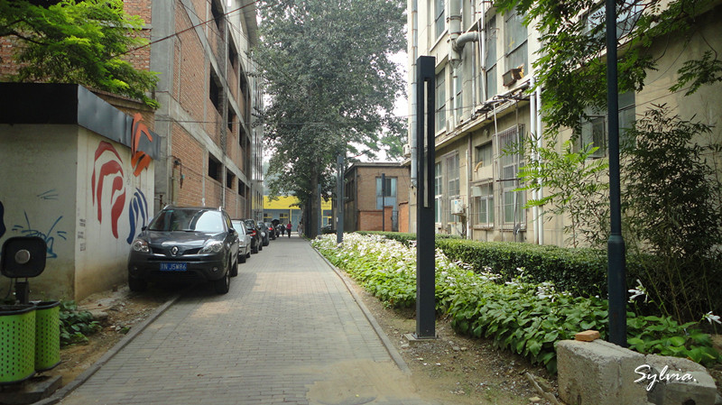 DSC02220_副本.jpg