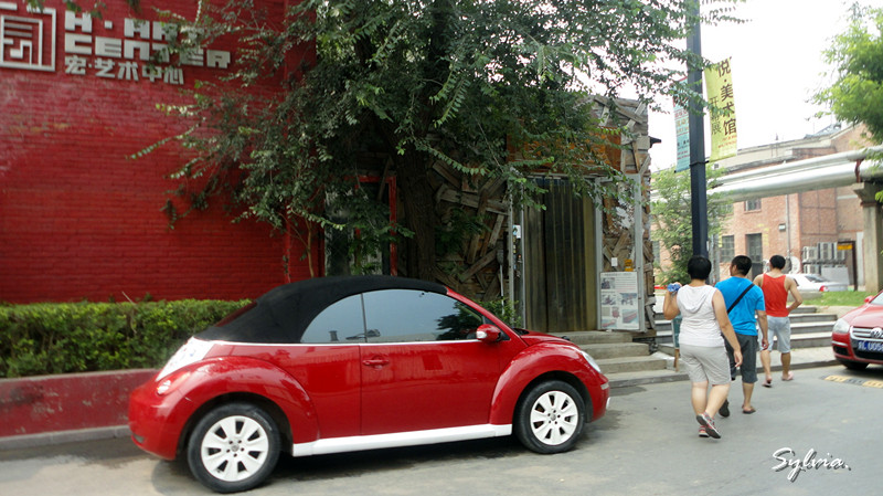DSC02348_副本.jpg