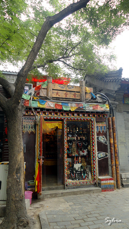 DSC01166_副本.jpg