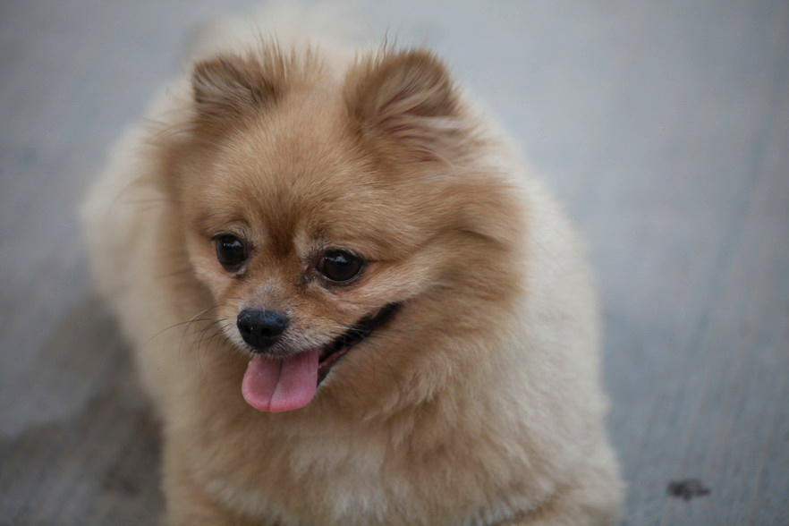 IMG_1076_调整大小.jpg
