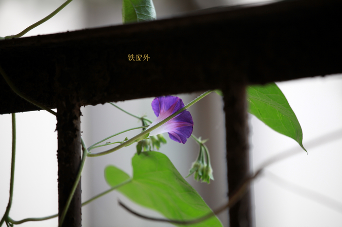 nEO_IMG_IMG_1182.jpg