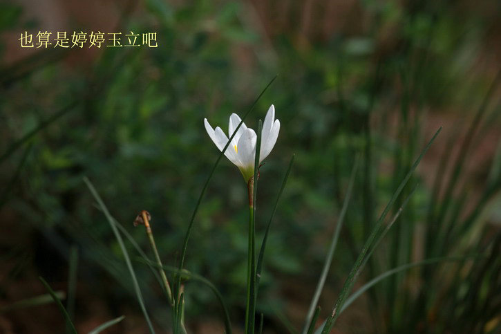 20110920买票路上3114_调整大小.JPG