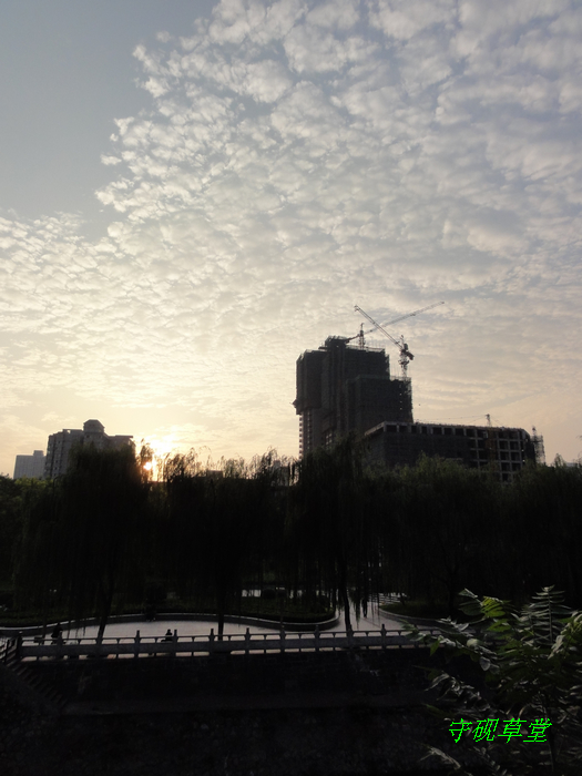 DSC09815.jpg