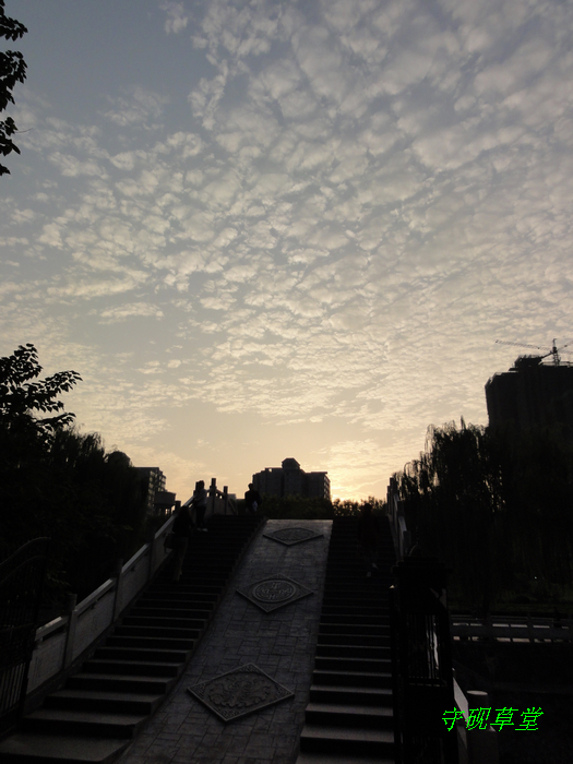 DSC09839.jpg