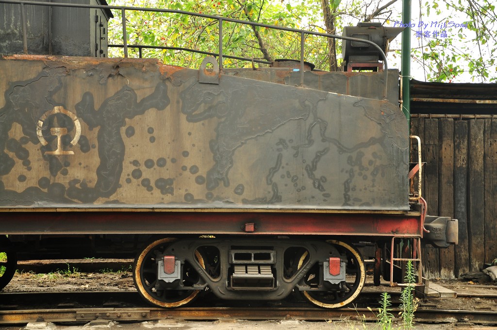 DSC_5330.JPG