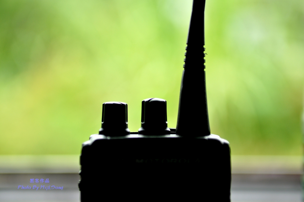 DSC_5625.JPG