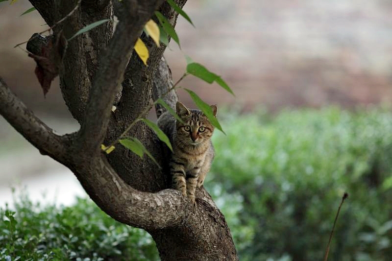 nEO_IMG_20110923 长焦抓拍人像以及高iso3145.jpg