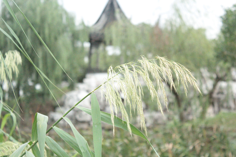 照片 025_副本.jpg