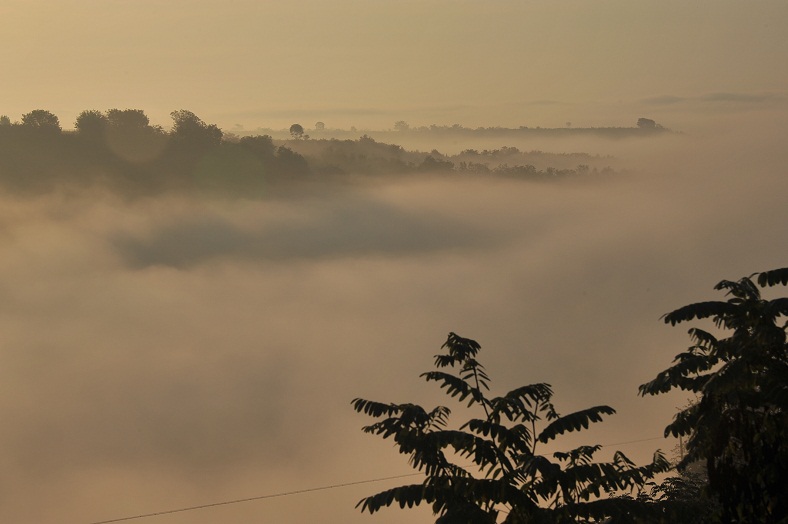 DSC_4625.JPG