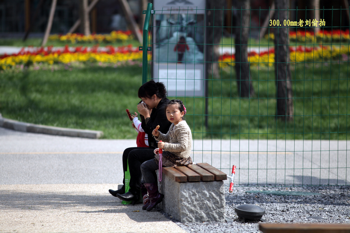 nEO_IMG_1005大明宫4286.jpg