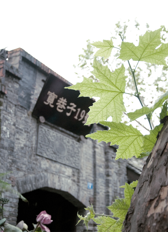 树叶.jpg