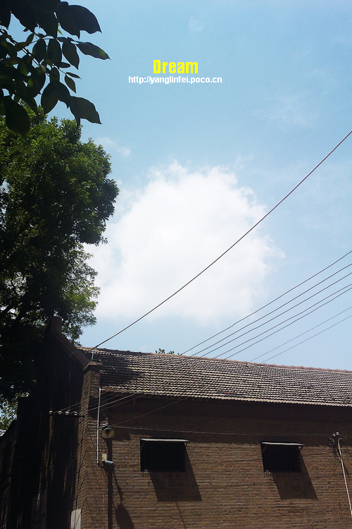 IMAG0047.jpg