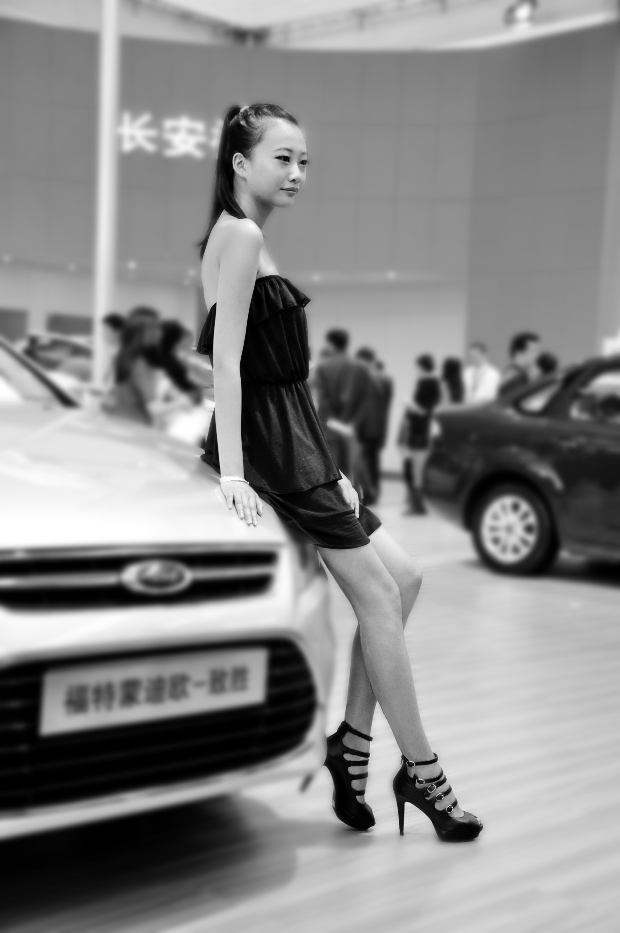 DSC_6551.jpg