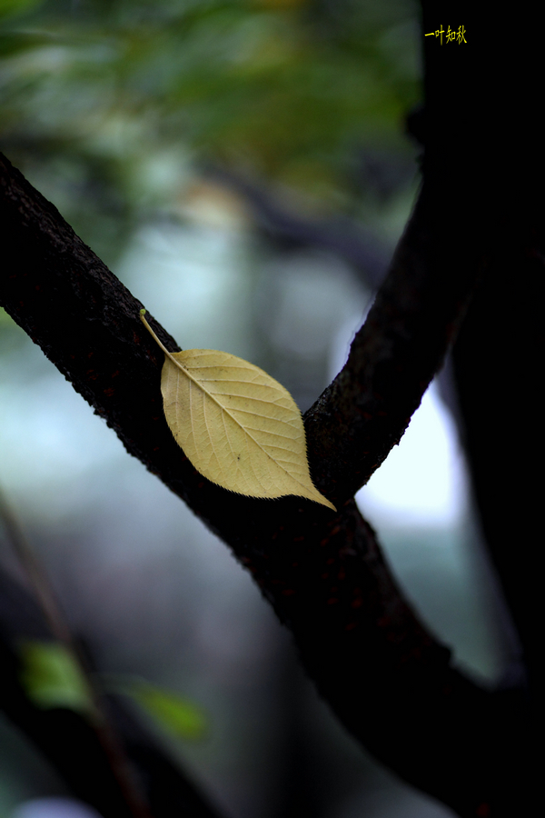 nEO_IMG_1023沿着浐河西路走一圈4842-1.jpg