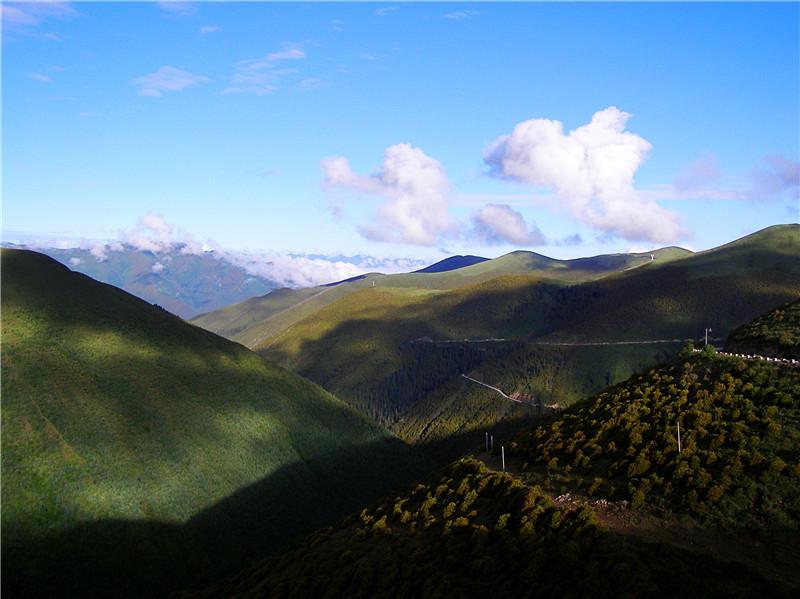P1010804_conew1_副本.jpg
