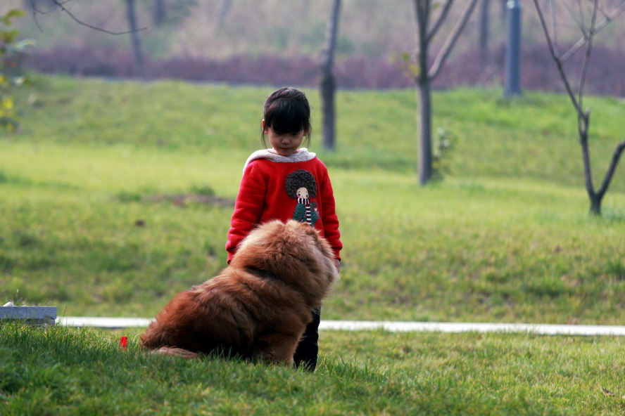 IMG_5897_调整大小.JPG