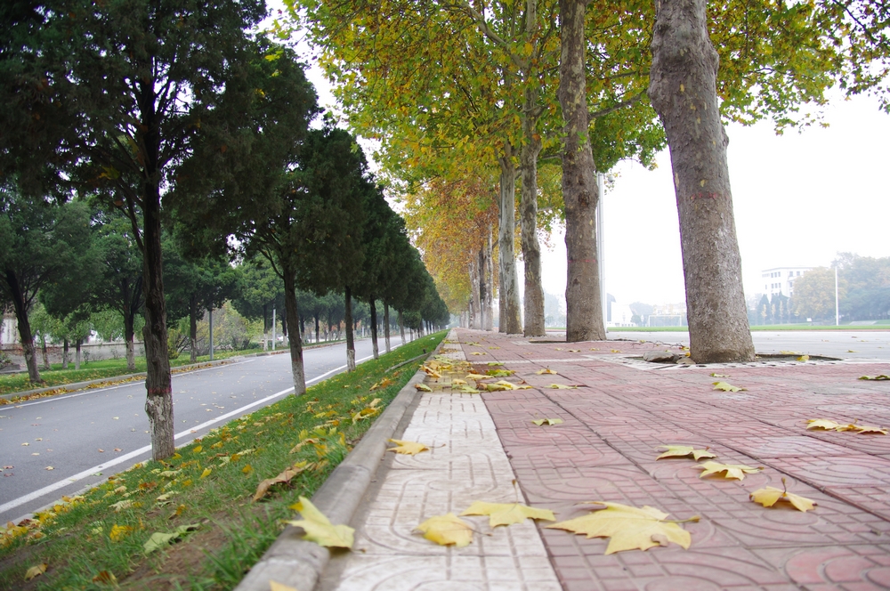 IMGP3409.jpg