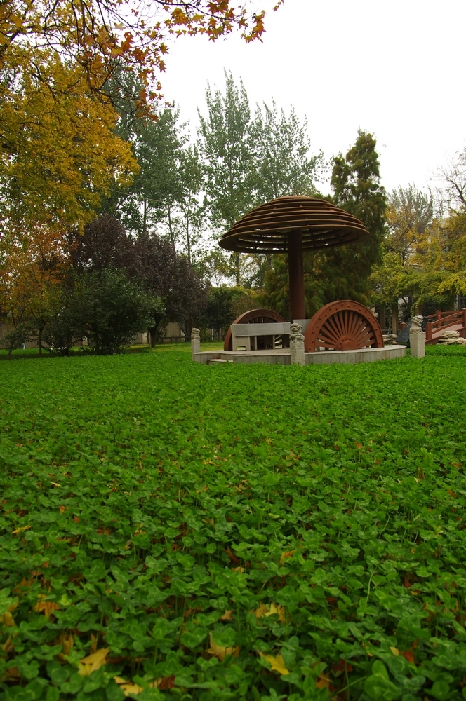 IMGP3491.jpg
